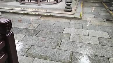 旅行雨天祖庙祠堂拍摄实拍视频的预览图